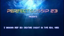 5 Unknown Deep Sea Creature Caught On Tape Real Video (No Photo)