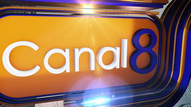 El partido verde eligió nuevos organos estatales colegiados en Guanajuato