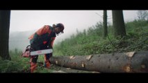 TBWA Corporate pour France Bois Forêt - «Pour moi, c'est le bois» - septembre 2017