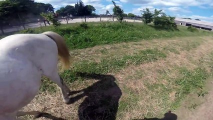 (cours Gopro) saut CHUTES♥ directionnels et oxers