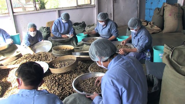 Les Maîtres de l'esprit