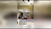 Parents surprise their 11-year-old daughter with Shih Tzu puppy