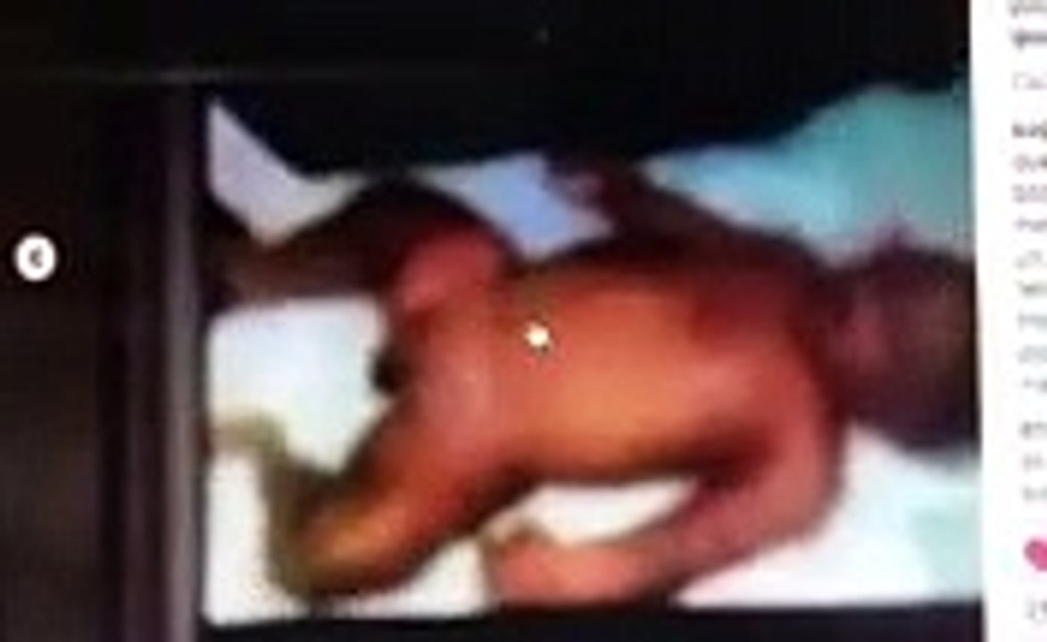 La Romana bebe