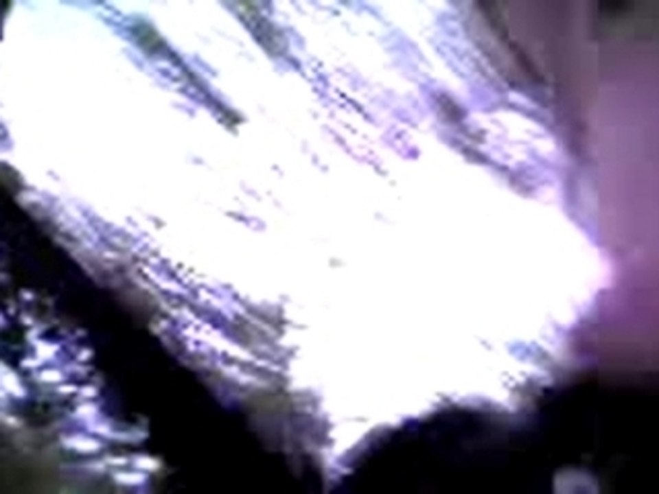 acrobranches2