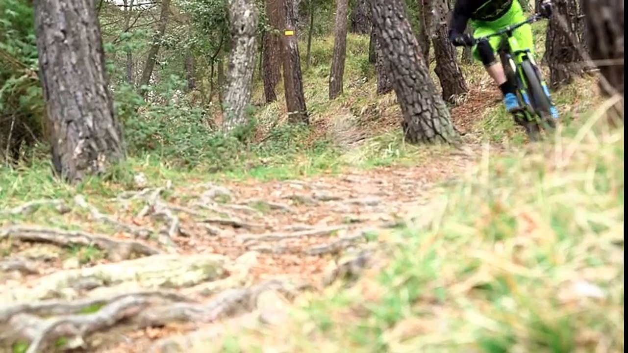 Trek Fuel EX 9 29 - Trail Bike of the Year - 6th Place
