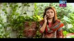 Haya Kay Rang Episode 160 In High Quality on Ary Zindagi 28th September 2017