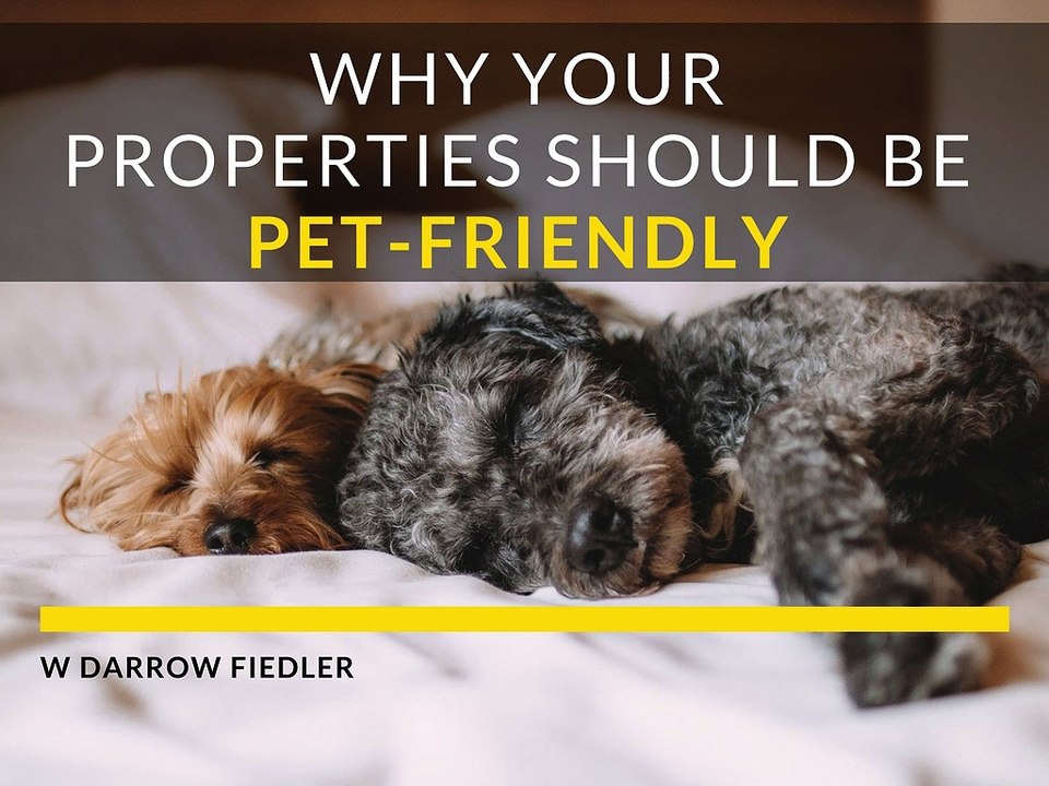 Why Your Properties Should Be Pet-Friendly