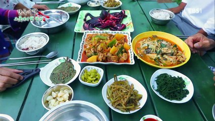 한국기행 - Korea travel_그곳에서 한 달만 2부 다시 허니문, 제주_#002