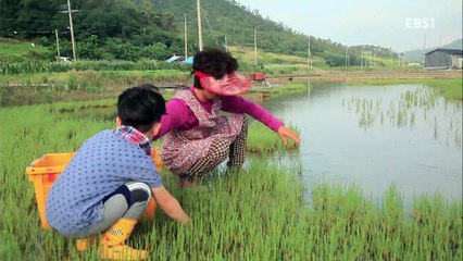 한국기행 - Korea travel_명물찾아 섬만리 4부 복더위 잡는 바다맛 도초도_#001