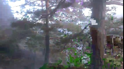 Gros incendie dans les gorges du Lignon