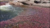 Caño Cristales, una joya turística escondida que recupera Colombia con la paz