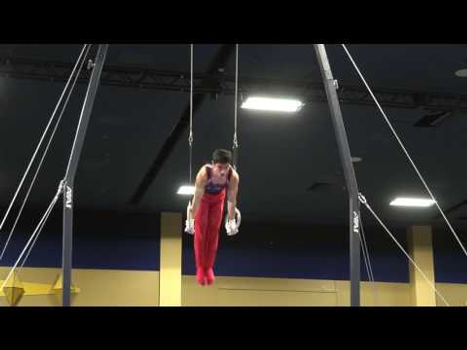 Brandon Briones – Still Rings – 2017 Winter Cup...