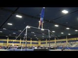 Joshua Davis - High Bar - 2017 Winter Cup Prelims