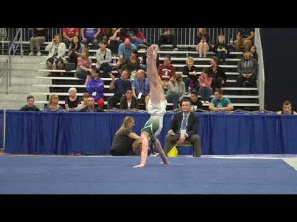 Riley Loos - Floor Exercise - 2017 Winter Cup Prelims