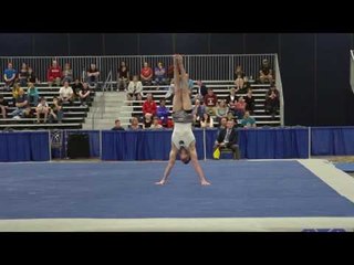 Michael Burns - Floor Exercise - 2017 Winter Cup Prelims