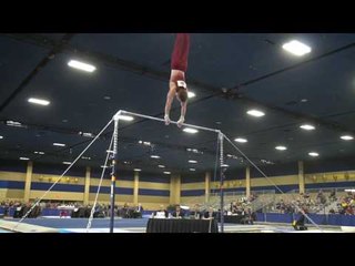 Allan Bower - High Bar - 2017 Winter Cup Prelims