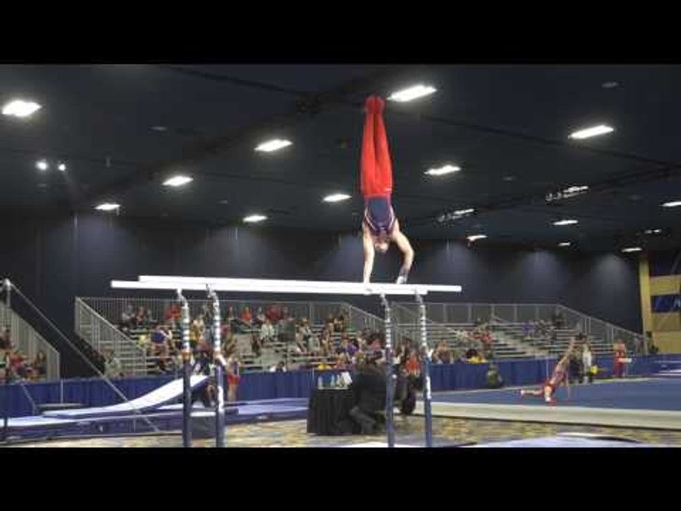 Brandon Briones - Parallel Bars - 2017 Winter C...