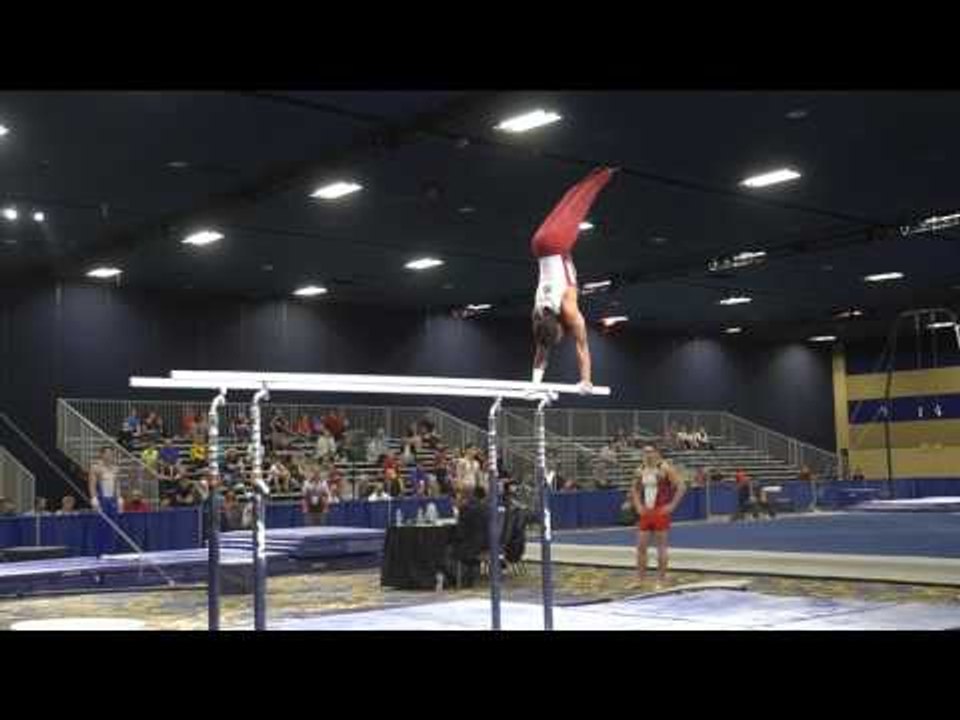Michael Reid - Parallel Bars - 2017 Winter Cup Prelims