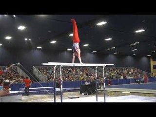 Brody Malone - Parallel Bars - 2017 Winter Cup Prelims