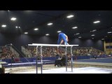 Trevor Howard - Parallel Bars - 2017 Winter Cup Prelims