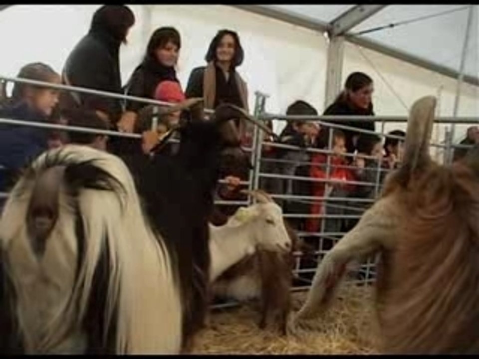 Lurrama 2007 - ouverture -