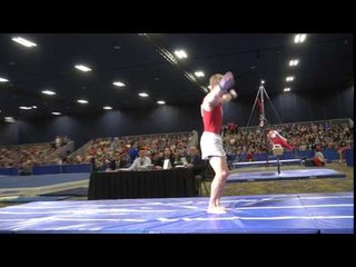 Allan Bower - Vault - 2017 Winter Cup Finals