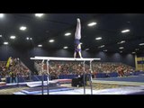 Dominic DiFulvio - Parallel Bars - 2017 Winter Cup Finals