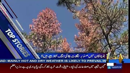 News Plus – 28th September 2017