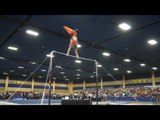 Johnny Jacobson - High Bar - 2017 Winter Cup Finals