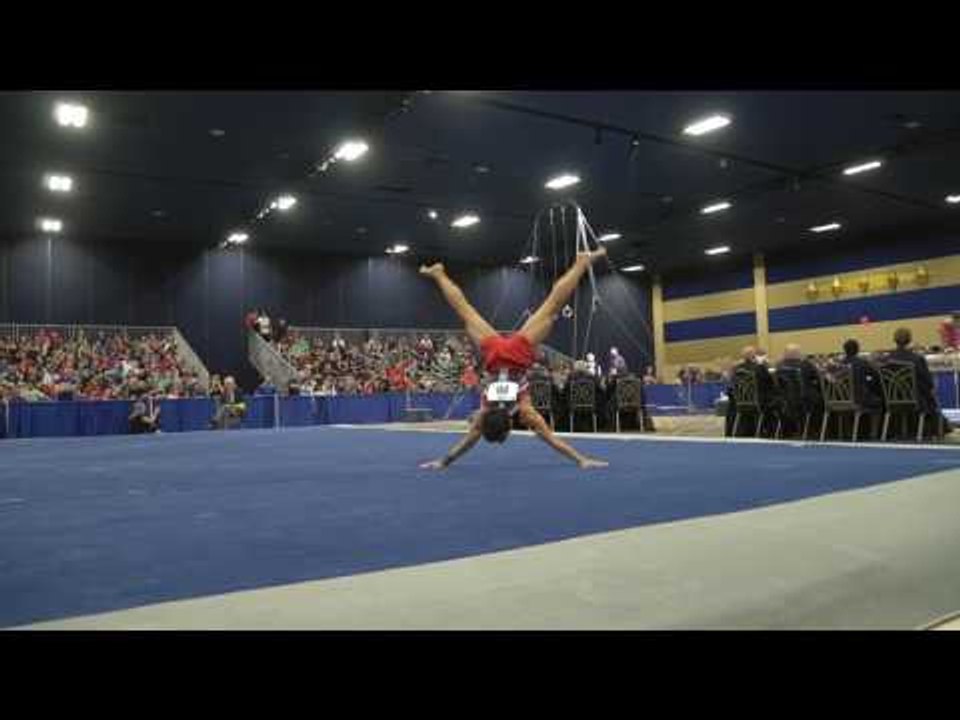 Brandon Briones - Floor Exercise - 2017 Winter Cup Finals