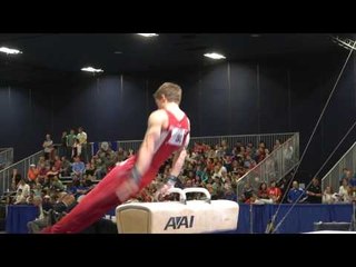 Allan Bower - Pommel Horse - 2017 Winter Cup Finals