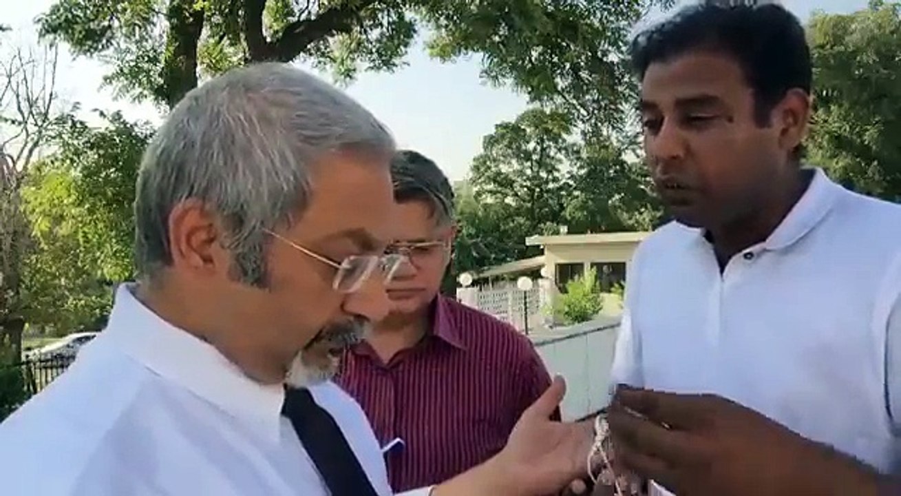 fdfsdf - video Dailymotion