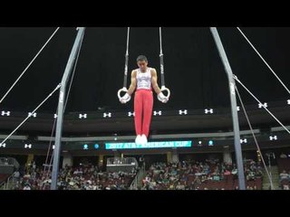 Akash Modi (USA) - Still Rings - 2017 AT&T American Cup