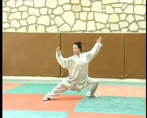 Tai Chi --comment Apprendre facilement le vrai Tai Chi