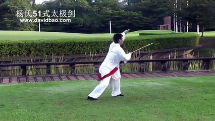 Tai Chi--Yang-Style  Sword 51 Form (杨氏51式太极剑)