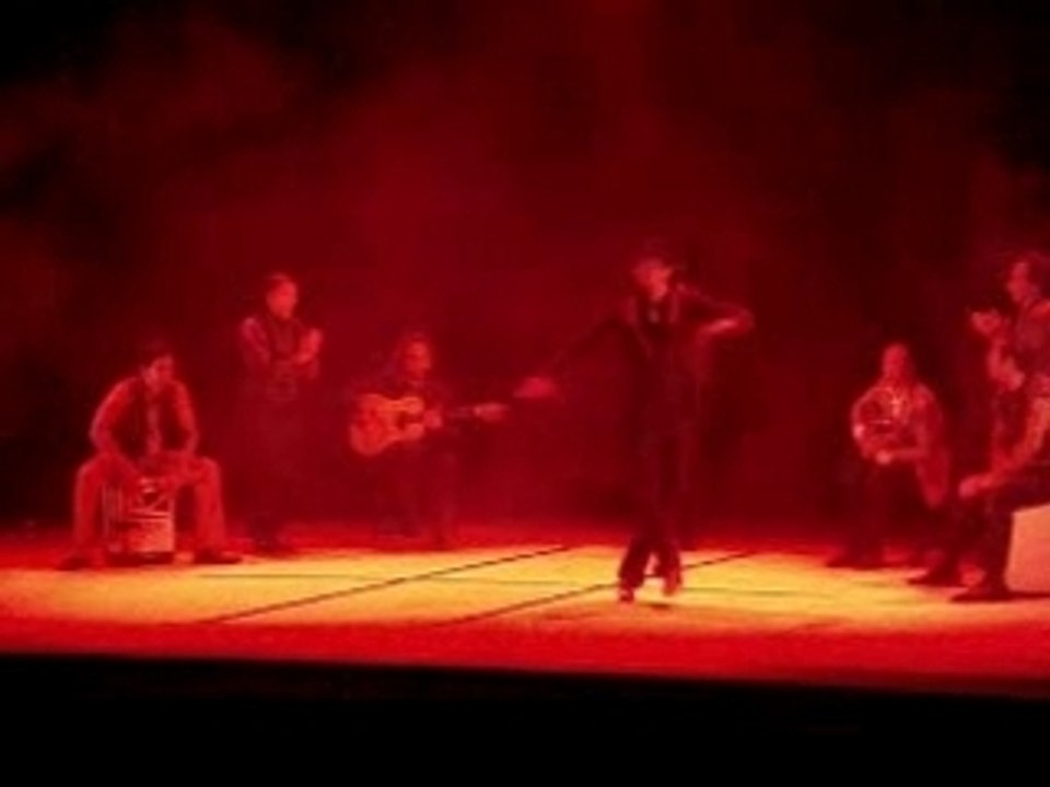 Joaquin Cortes 2007 Live in Italy video Dailymotion