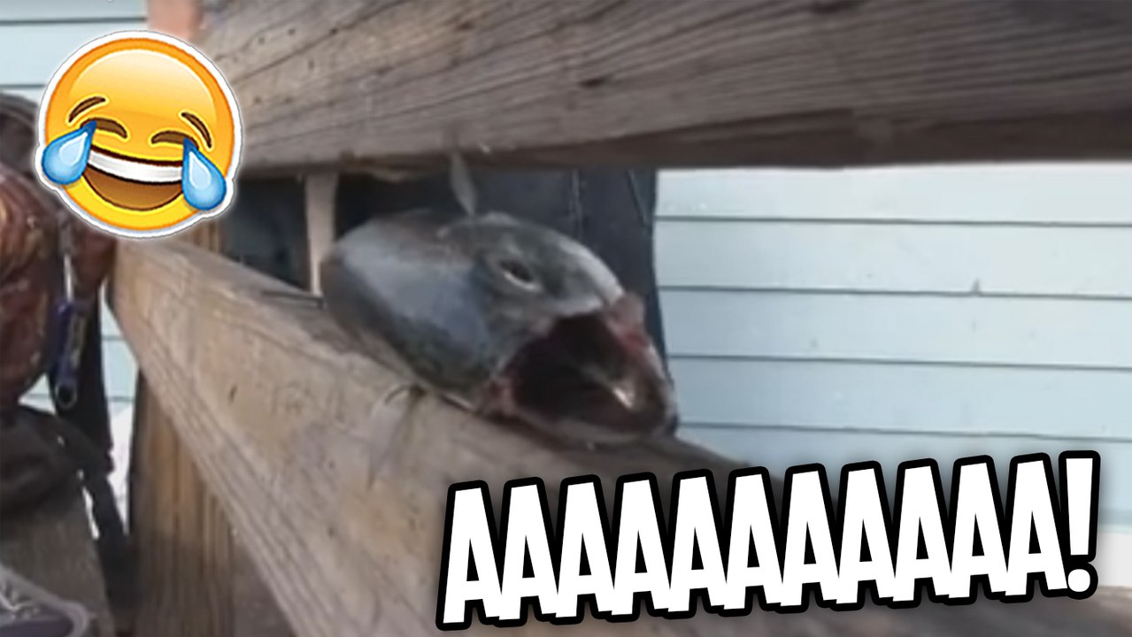 AAAAAAAAAA !