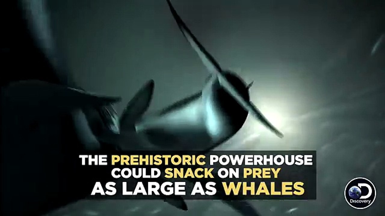 How The Megalodon Hunted | SHARK WEEK