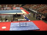 David Pochinka - Pommel Horse - 2017 P&G Championships Junior Men Day 1