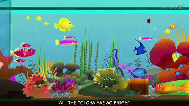Colors Songs Collection Learn Teach Colours to Toddlers ChuChuTV Preschool Kids Nursery Rhymes