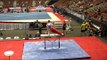 John Chou - Pommel Horse - 2017 P&G Championships Junior Men Day 1