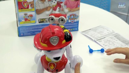 Zoomer Marcus PatPatrouille - Démo en français