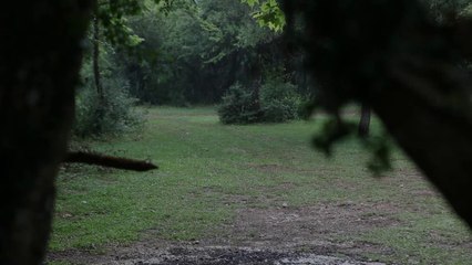 "School of Earth and Heaven"- Το Σχολείο της Γης και του Ουρανού