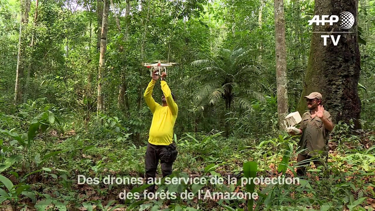 Des drones au service de la protection des forêts de l'Amazone
