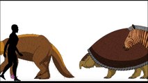 Cenozoic Beasts - Animated Size Comparison