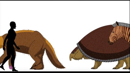 Cenozoic Beasts - Animated Size Comparison