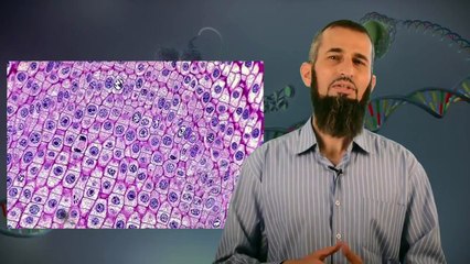 " رحلة اليقين ~18~ ... العجيبة المذهلة ! طول المادة الوراثية في جسمك " د.إياد قنيبي