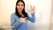 Learn American Sign Language: Beginner conversational words and phrases in ASL