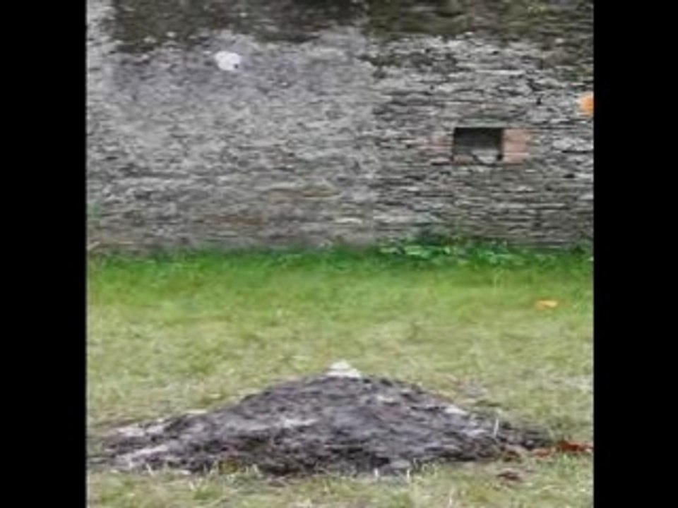 Volcan éruptif