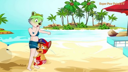 Paw Patrol Skye Poured Chilli Sauce On Paw Patrol Chase Body! Finger Family Song by Willia